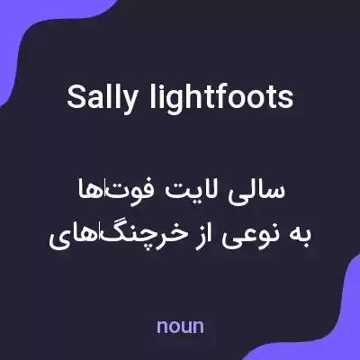 معنی sally lightfoots به فارسی معنی sally lightfoots به فارسی