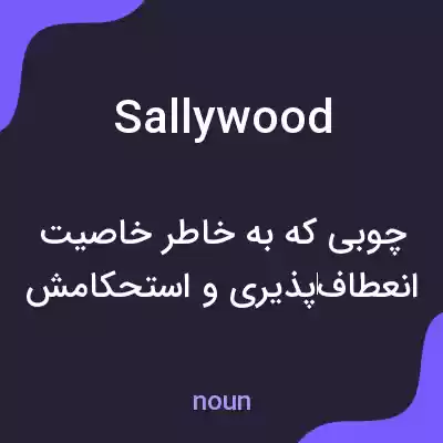 معنی sallywood به فارسی معنی sallywood به فارسی