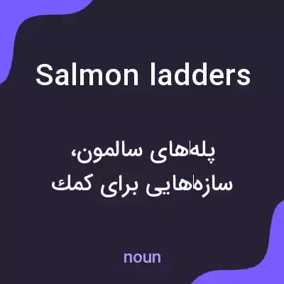 معنی salmon ladders به فارسی معنی salmon ladders به فارسی