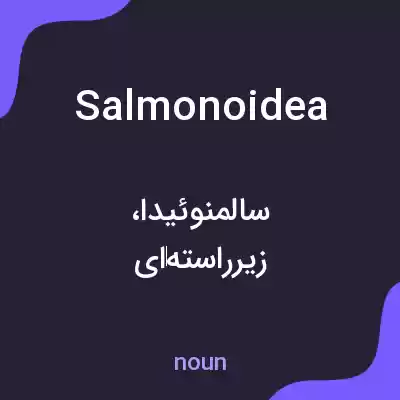 معنی salmonoidea به فارسی معنی salmonoidea به فارسی