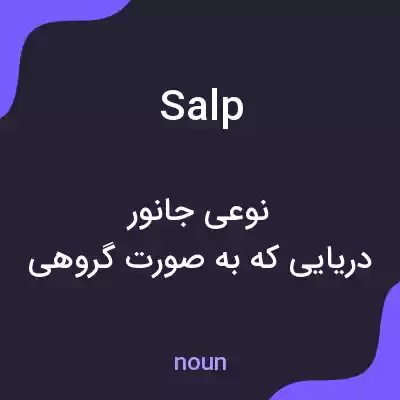 معنی salp به فارسی معنی salp به فارسی