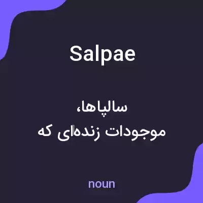 معنی salpae به فارسی