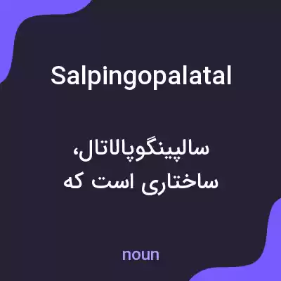 معنی salpingopalatal به فارسی معنی salpingopalatal به فارسی