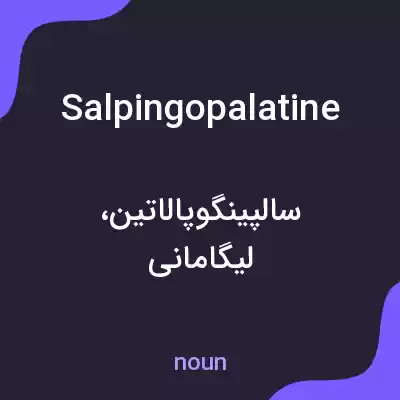 معنی salpingopalatine به فارسی معنی salpingopalatine به فارسی