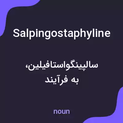 معنی salpingostaphyline به فارسی معنی salpingostaphyline به فارسی