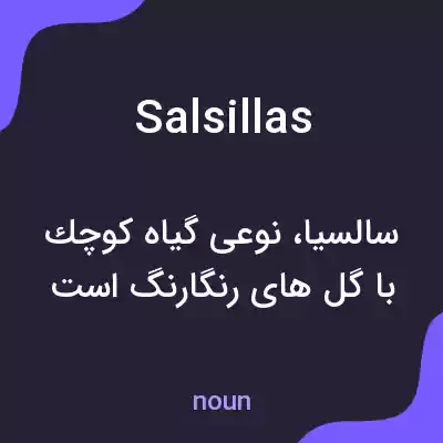معنی salsillas به فارسی معنی salsillas به فارسی