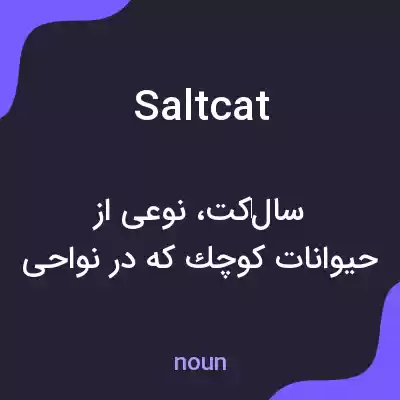 معنی saltcat به فارسی معنی saltcat به فارسی