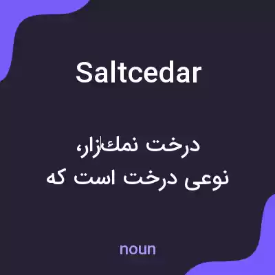 معنی salt cedar به فارسی معنی salt cedar به فارسی