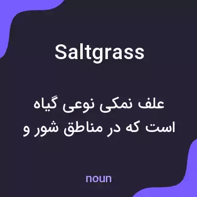 معنی salt grass به فارسی معنی salt grass به فارسی