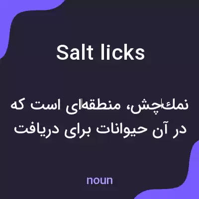 معنی salt licks به فارسی معنی salt licks به فارسی
