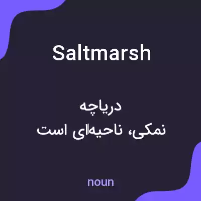 معنی salt marsh به فارسی معنی salt marsh به فارسی