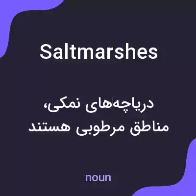 معنی salt marshes به فارسی معنی salt marshes به فارسی