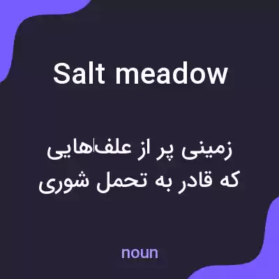 معنی salt meadow به فارسی