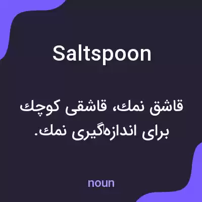 معنی salt spoon به فارسی معنی salt spoon به فارسی