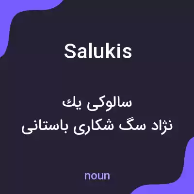 معنی salukis به فارسی معنی salukis به فارسی