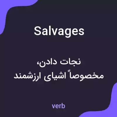 معنی salvages به فارسی معنی salvages به فارسی