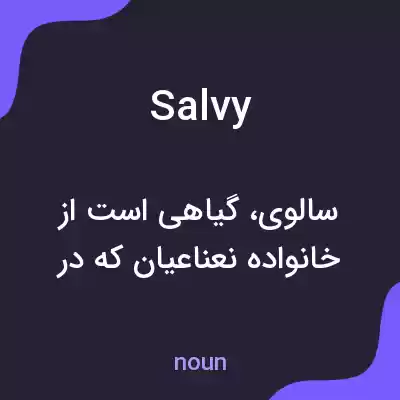 معنی salvy به فارسی معنی salvy به فارسی