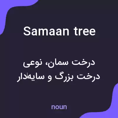 معنی samaan tree به فارسی معنی samaan tree به فارسی