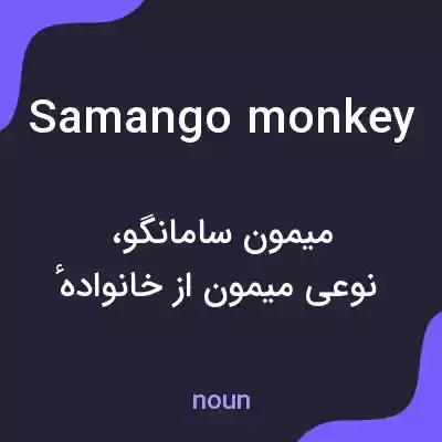 معنی samango monkey به فارسی معنی samango monkey به فارسی