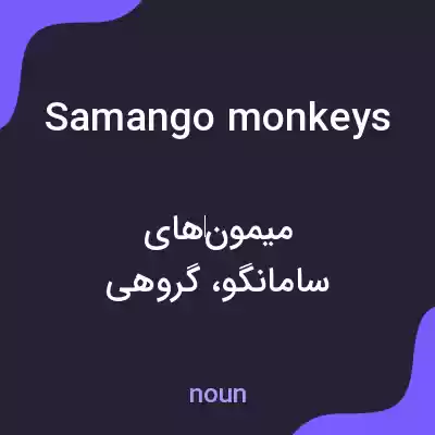 معنی samango monkeys به فارسی معنی samango monkeys به فارسی