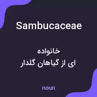 معنی sambucaceae به فارسی معنی sambucaceae به فارسی
