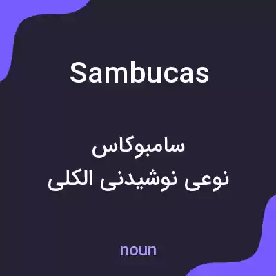 معنی sambucas به فارسی معنی sambucas به فارسی