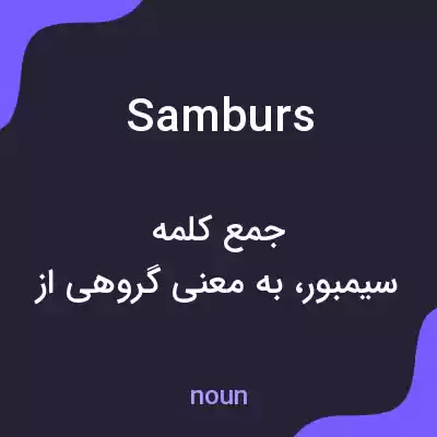 معنی samburs به فارسی معنی samburs به فارسی