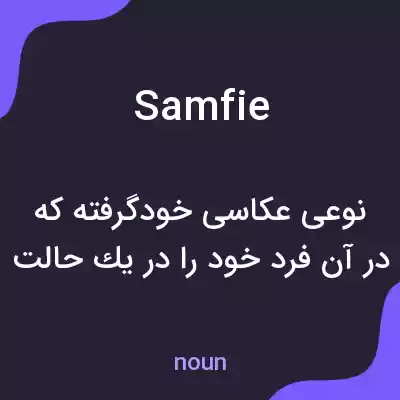 معنی samfie به فارسی معنی samfie به فارسی
