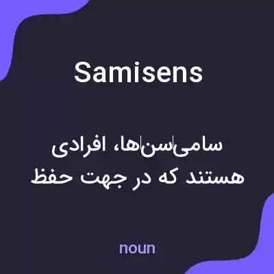 معنی samisens به فارسی