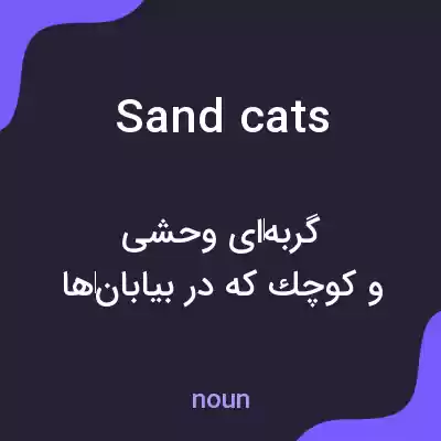 معنی sand cats به فارسی معنی sand cats به فارسی