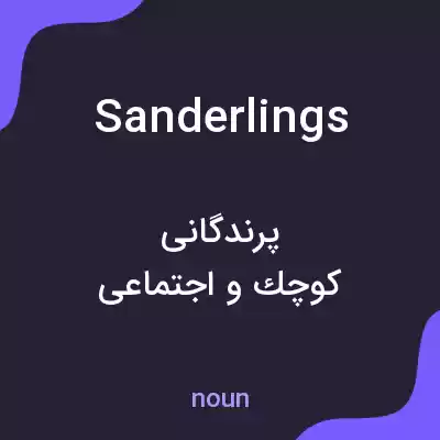 معنی sanderlings به فارسی معنی sanderlings به فارسی