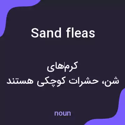 معنی sand fleas به فارسی معنی sand fleas به فارسی
