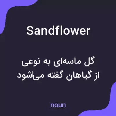 معنی sandflower به فارسی معنی sandflower به فارسی