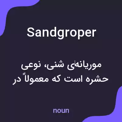 معنی sandgroper به فارسی معنی sandgroper به فارسی