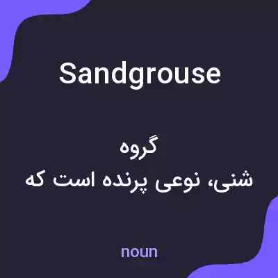 معنی sandgrouse به فارسی