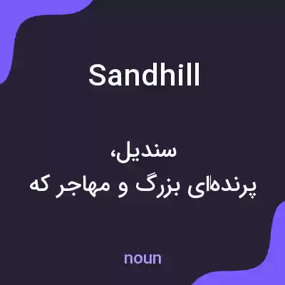 معنی sandhill به فارسی معنی sandhill به فارسی