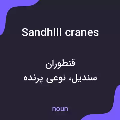 معنی sandhill cranes به فارسی معنی sandhill cranes به فارسی