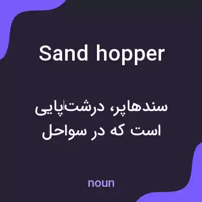 معنی sand hopper به فارسی معنی sand hopper به فارسی