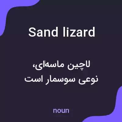 معنی sand lizard به فارسی معنی sand lizard به فارسی