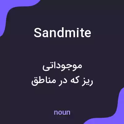 معنی sandmite به فارسی معنی sandmite به فارسی