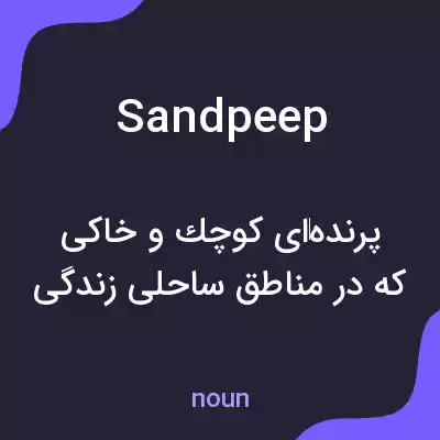 معنی sandpeep به فارسی معنی sandpeep به فارسی