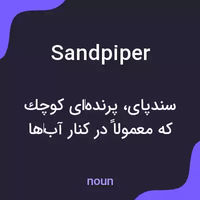معنی sandpiper به فارسی معنی sandpiper به فارسی