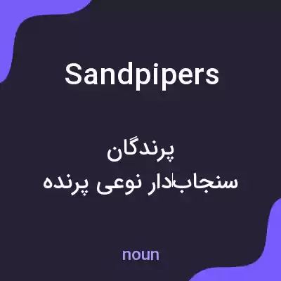 معنی sandpipers به فارسی معنی sandpipers به فارسی