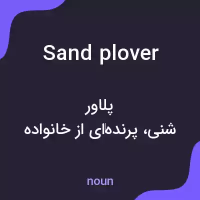 معنی sand plover به فارسی معنی sand plover به فارسی