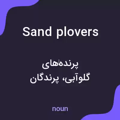 معنی sand plovers به فارسی معنی sand plovers به فارسی
