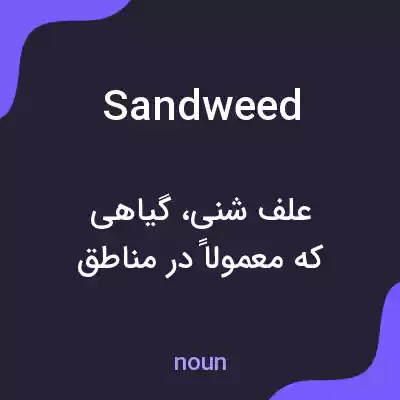 معنی sandweed به فارسی معنی sandweed به فارسی