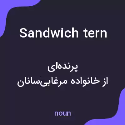 معنی sandwich tern به فارسی معنی sandwich tern به فارسی