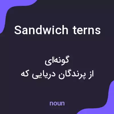 معنی sandwich terns به فارسی معنی sandwich terns به فارسی