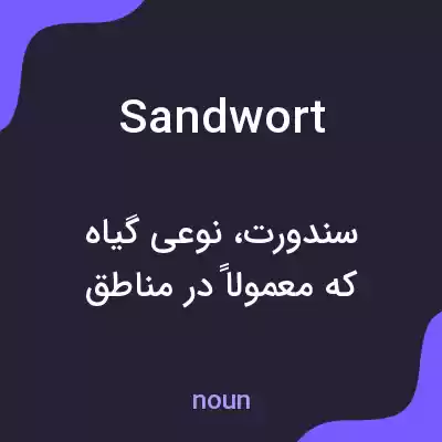 معنی sandwort به فارسی