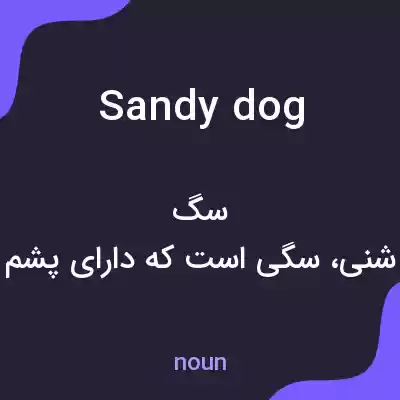معنی sandy dog به فارسی معنی sandy dog به فارسی